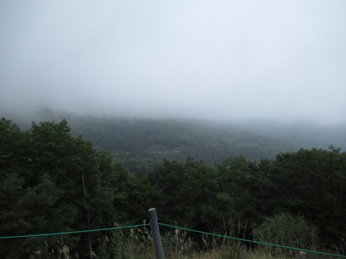登山道